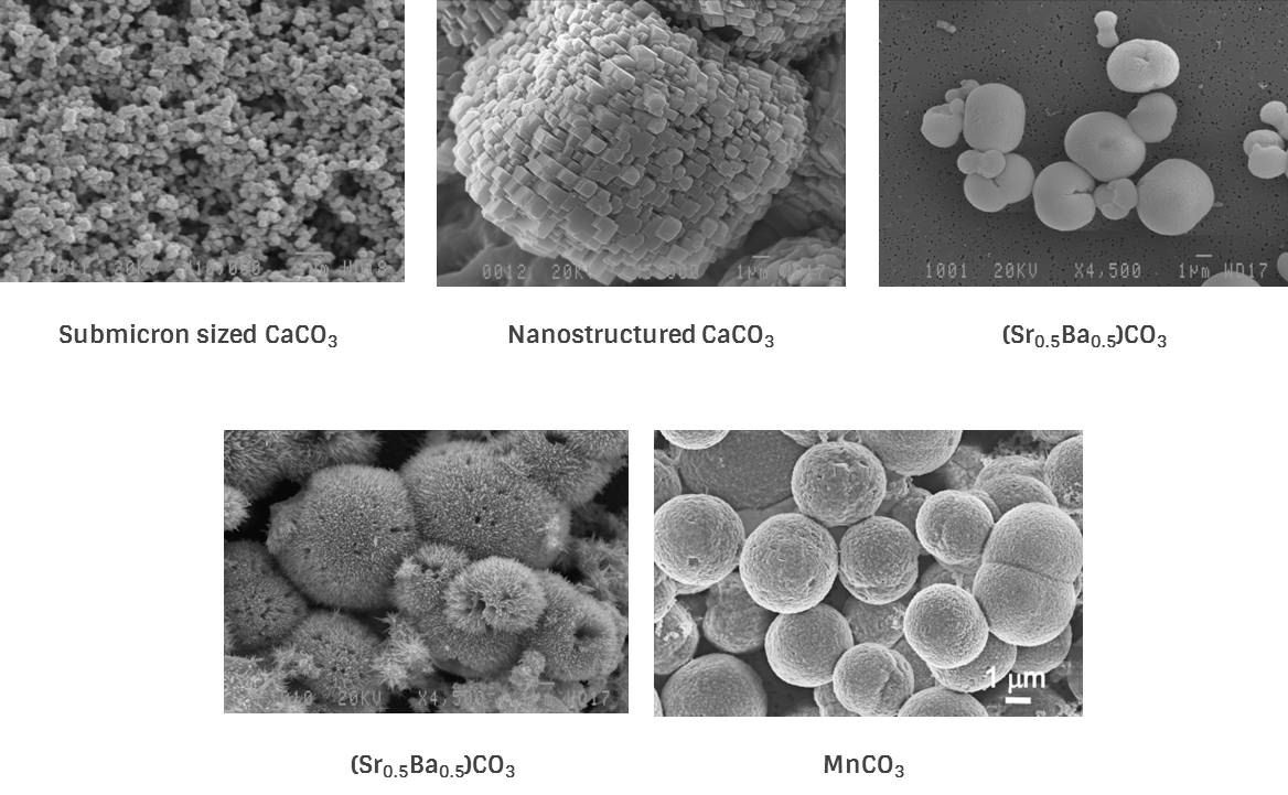 biomimetic synthesis